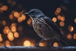 Bird in the night