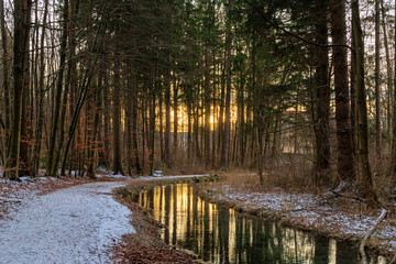 Wall Mural - Path along the Brunnenbach stream through the Siebentischwald forest in Siebenbrunn at sunrise on a winter's day