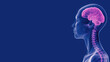 © Tati - X-ray view of a human profile with highlighted brain and spine