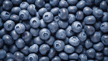 Indigo Blueberries Background 