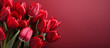 Red tulip flower background. Floral wallpaper, banner. February 14, valentine's day, love, 8 march international women's day theme.