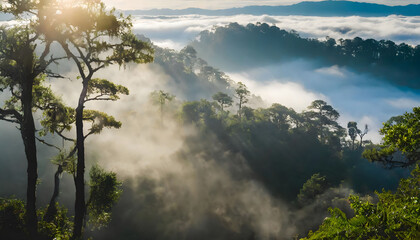 Wall Mural - Misty morning fog in the mountains wallpaper