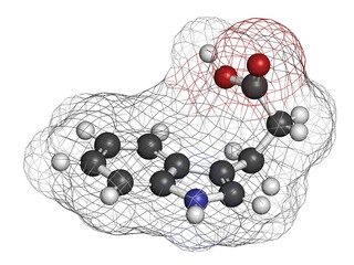 Poster - indole-3-propionic acid or IPA molecule. 3D rendering.