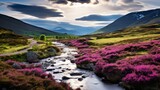 Fototapeta  - Highland Elegance: Unveiling the Sublime Beauty Above