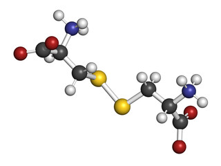 Poster - Cystine molecule. Oxidized dimer of the amino acid cysteine. 3D rendering.