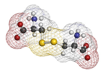 Sticker - Cystine molecule. Oxidized dimer of the amino acid cysteine. 3D rendering.