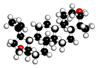 Wall Mural - Betulin drug molecule. Isolated from birch tree bark. 3D rendering.