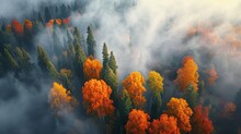 Erial View Of Beautiful Winter And Autumn Forest In Low Clouds At Sunrise. Top View Of Orange And Green Trees In Fog At Dawn In Fall. View From Above Of Woods. Nature Background. Multicolored Leaves