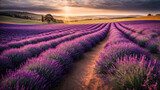 Fototapeta Krajobraz - Sunset serenity view in lavender fields. Generative ai