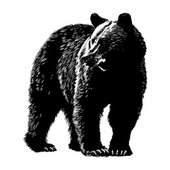 silhouette bear black color only