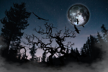 Wall Mural - silhouette of birds and dead tree on the background night sky with moon and stars 
