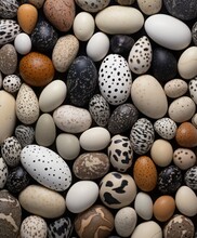 Photorealistic Print Of Various Pheasant Pebbles,  Polka Dots Style,  Realistic Usage Of Light And Color, Light White And Light Black, Colorized, Marine Biology-inspired