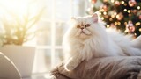 Fototapeta Konie - A Cute white Persian cat lying on a modern rocking chair. and yawn against the background of a stylishly decorated Christmas tree in a sunny living room. Pet and Winter Holiday Ideas