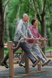 © View Stock - Old couples who use exercise equipment in the park