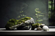 © Rytis - Interior, design, nature and architecture concept. Abstract and minimalist interior design elements made from stone and moss. Abstract background with copy space