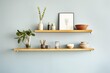 minimalist shelves with small potted plants, against a neutral wall