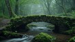 Moss-covered stone bridge over a babbling brook in a lush forest.