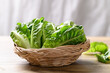 Organic cos romaine lettuce in basket on wooden table, Food ingredient for healthy salad