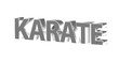 Karate - plakative silberne 3D-Schrift, Kampfsport, Selbstverteidigung, Disziplin, Training, Wettkampf, Tradition, Japan, Karateka,  Körperbeherrschung, Kihon, Kata, Kumite, Rendering