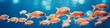 A group of vibrant orange goldfish swimming together in clear blue water.
