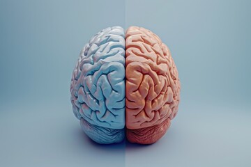 Poster - A close-up image showcasing the two halves of a brain. This picture can be used to represent neuroscience, psychology, or the concept of left and right brain thinking.