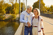 © Studio Romantic - Smiling and happy senior couple enjoys a leisure walk in the city park. They radiating happiness and warmth. This snapshot captures a moment of shared bliss during a vacation or holiday.