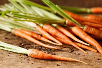 Wall Mural - Fresh carrots on wooden table.