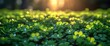 Shamrock Season: A Green and Sunny Afternoon Generative AI