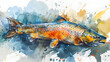 illustration with the drawing of a Salmon