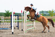 Jockey jumps over a hurdle