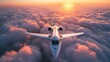 Luxury private jet flying above the clouds, beautiful sunset on background. 