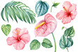 Palm leaf green plant, hibiscus flower, anthurium isolated background, watercolor clipart, floral design elements set