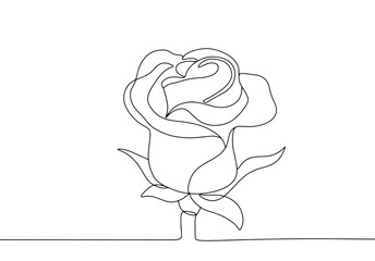 Canvas Print - Rose. Bud. One line