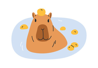 Wall Mural - Cute funny capybara bathing in water with apples. Amusing capibara swimming, relaxing in nature. Happy capy animal, lazy rodent resting, enjoying. Flat vector illustration isolated on white background