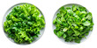 Green Leafy Salad Plates Set Isolated on Transparent or White Background, PNG