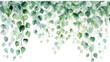 Watercolor vines jade color on Transparent Background