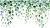 Fototapeta Konie - Watercolor vines jade color on Transparent Background