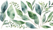 Eucalyptus Leaves Border: Watercolor Illustration for Wedding Invitations and Stationery Design