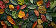 Leaf Lock Life Language of change , leaf color change shows a signal to prepare for winter and stop making chlorophyll , autumn leaves, green ,red, orange leaves background, science banner,  