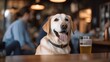Pet friendly places concept. Smiling golden retriever sitting at the table in a cafe. Emotional support concept.