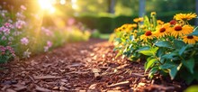 Use Mulch When Planting Flowers