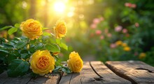 Wooden Table With Yellow Roses And Bright Sunlight