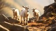 Agile goats confidently scale the rocky terrain, using their surefootedness to navigate the rugged landscape.