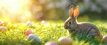 Easter Bunny With Colorful Eggs On The Grass. The Cute Rabbit Sitting On The Meadow With Decorated Easter Eggs. Springtime Religious Holiday Banner For Advertisement With Copy Space For Text. Raster .