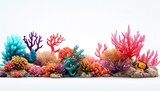 Fototapeta Do akwarium - small coral reef on white background