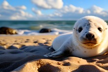 A Cute Baby Seal Sunbathing On The Beach. Generative AI.