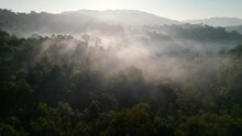 Nature Sunrise,mountain Trees And Aerial View Of The Forrest,Drone Flying In Misty Forest And Morning Light