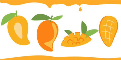 Mango flat design vector illustration. Composition of a whole mango and its parts in a simple style.