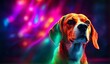 A portrait photo of a Beagle dog with neon lights in the background, crafting an eye-catching and vibrant atmosphere