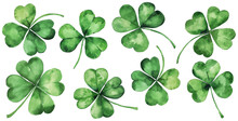 Watercolor Drawing Of Clover Leaves. St. Patrick's Day. The Concept Of Summer Holidays. Handmade Work